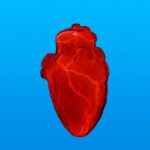 un objet en forme de coeur rouge flottant dans les airs